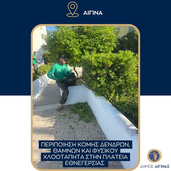 Aegina
