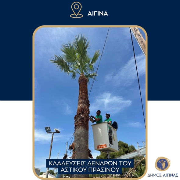 Aegina