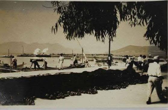 Aegina 1950: Der Hafen und die Stadt