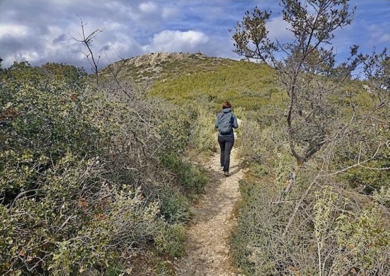 Hymettos: 10 neue Wanderwege