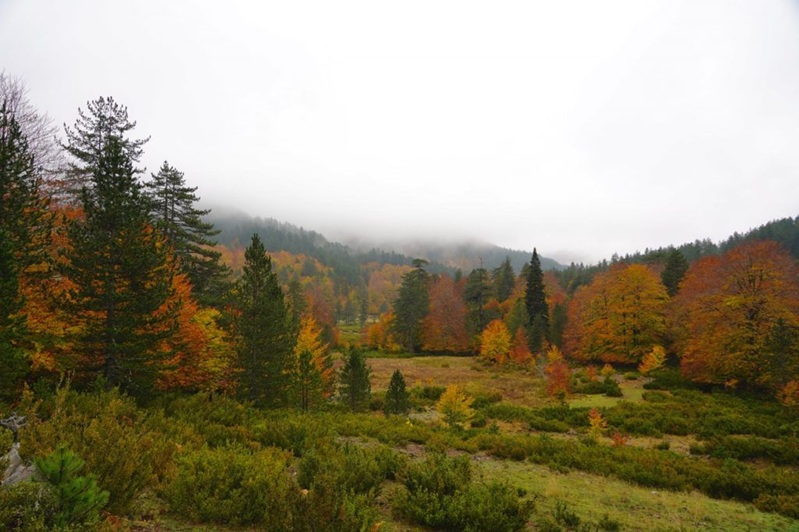 Stelios-Papalambropoulos-Natura-2000
