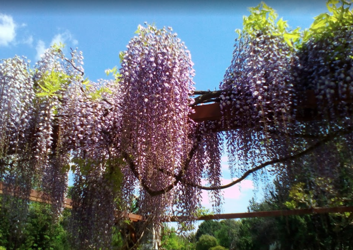 Der Botanische Garten von Athen