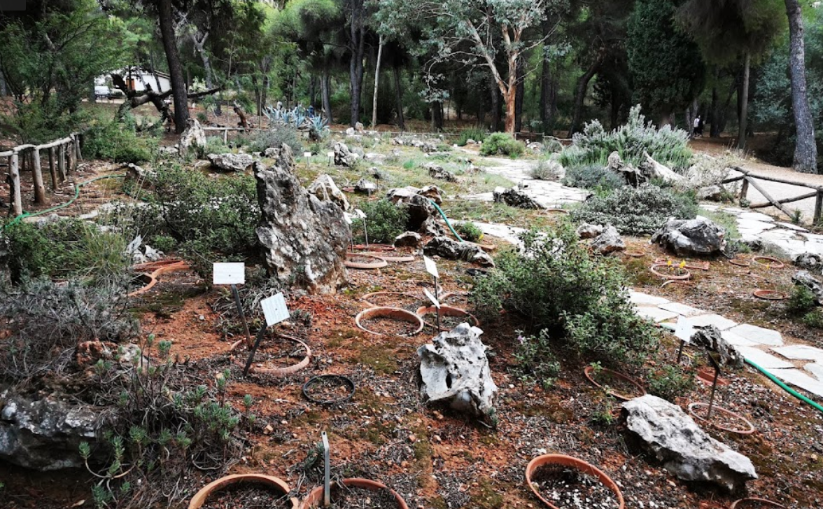 Der Botanische Garten von Athen