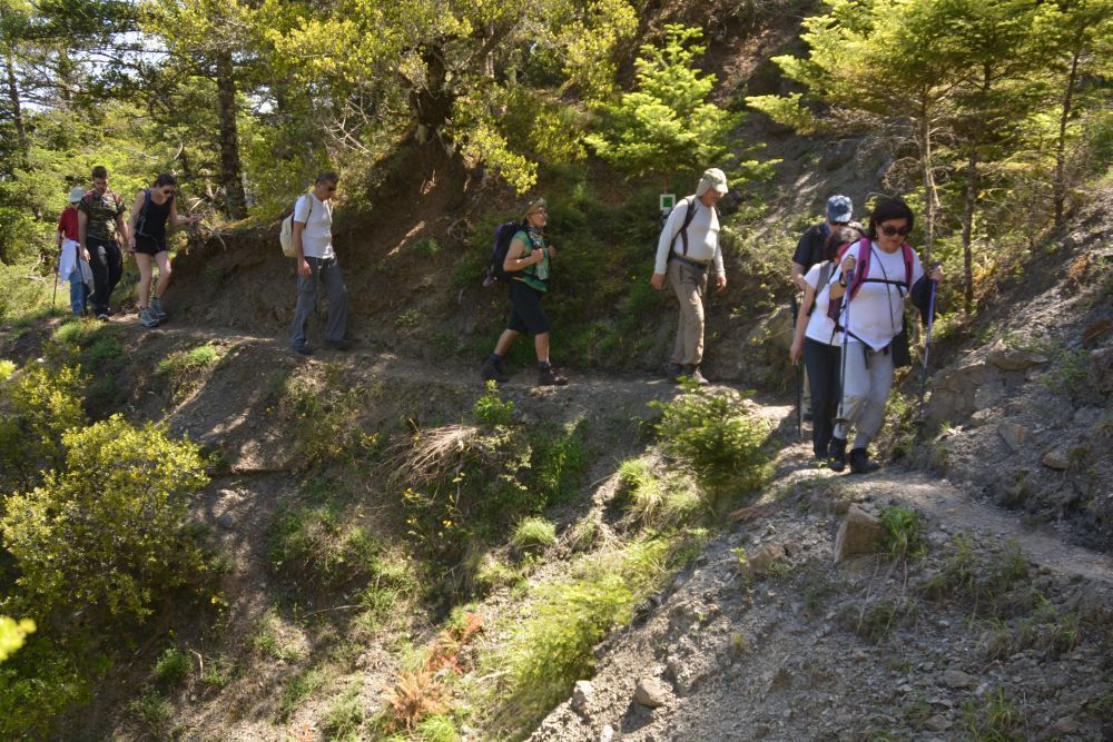Teil des Menalon Trail, Griechenlands erster offiziell zertifizierter Fußweg.