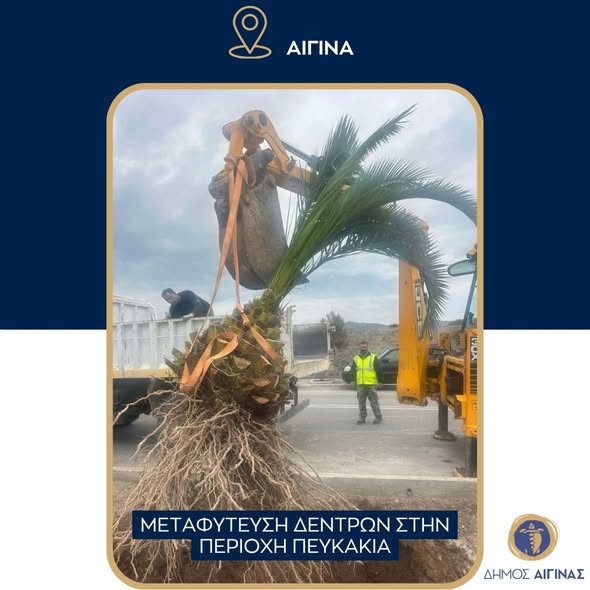 Zur Verbesserung der städtischen Straßenbeleuchtung wurden auf der Totis-Hatzis-Allee Metallmasten und LED-Leuchten installiert, sowie Maßnahmen zur Verbesserung der städtischen Beleuchtung auf dem Kypseli-Platz durch den Austausch bestehender Leuchten durch neue, im traditionellen Stil gehaltene LED-Leuchten. Parallel dazu wurden im Stadtteil Pefkakia in der Stadt Aegina Bäume neu gepflanzt, während auch die Erneuerung der Bepflanzung am Strand und in den öffentlichen Grünanlagen der Gemeinde Aegina vorangetrieben wurde. Schließlich wurden Arbeiten zur Verbesserung der Entwässerung in den Ortschaften Agia Marina und Alones durchgeführt.