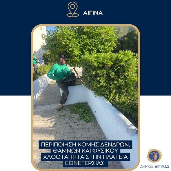 Aegina
