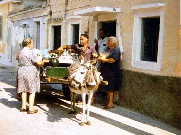 gemüsekarren-3.jpg